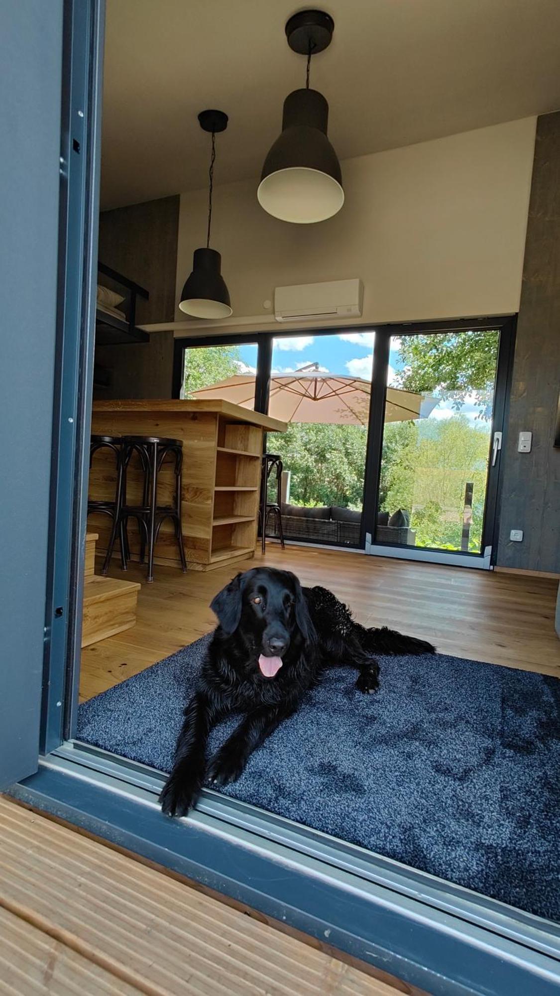 Tinyhousebeidresden 3 Fuer 2 - 7 Personen, Naehe Saechsische Schweiz, Dresden, Mit Badeteich