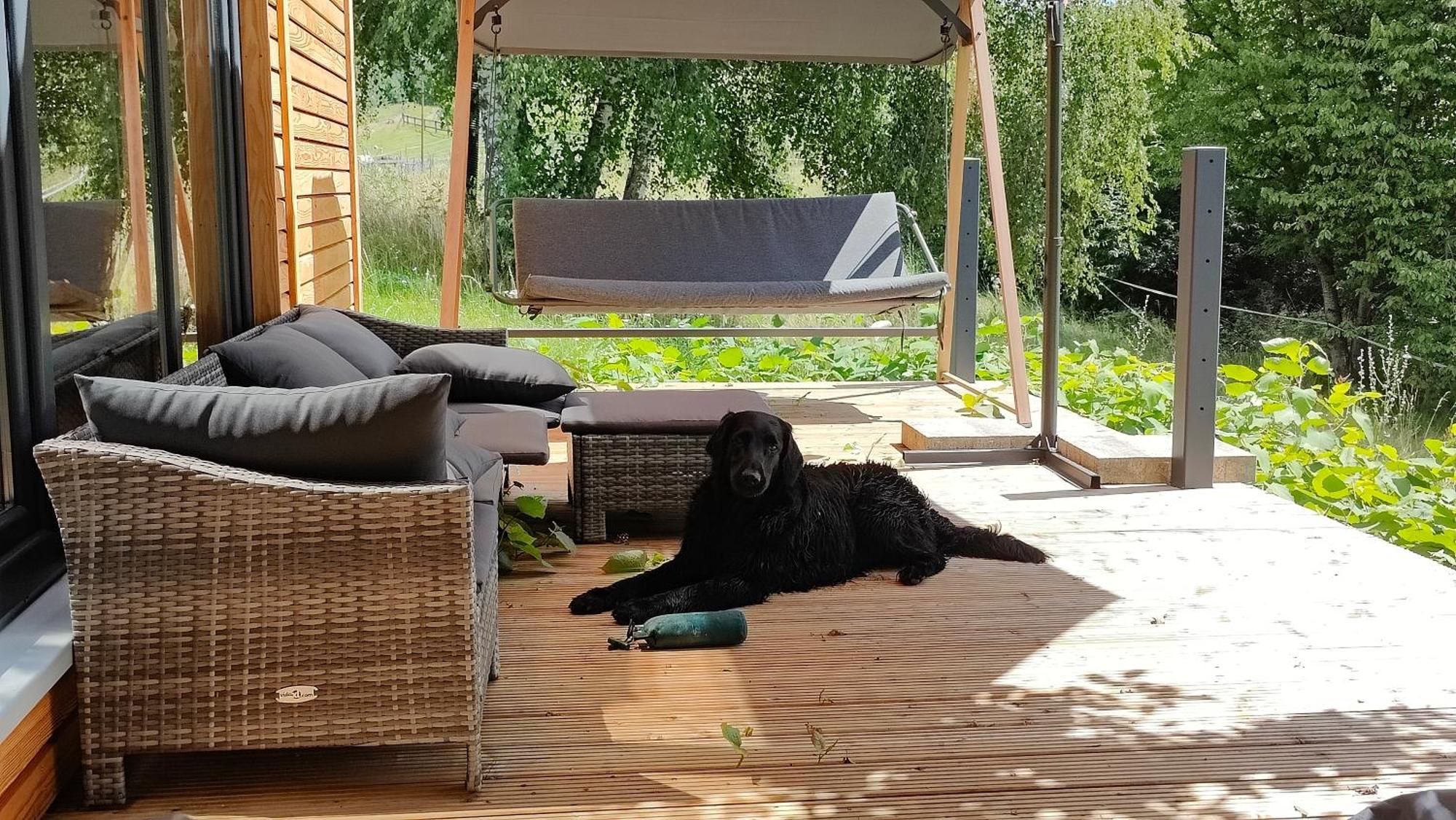 Tinyhousebeidresden 3 Fuer 2 - 7 Personen, Naehe Saechsische Schweiz, Dresden, Mit Badeteich *
